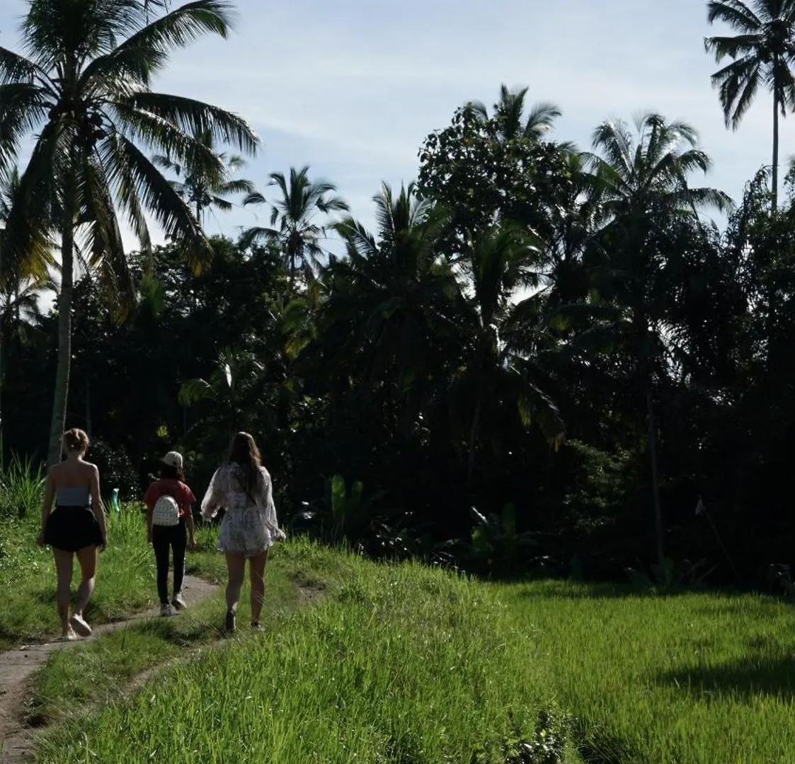 Amora Ubud Boutique Villas 0*, Ubud (Bali) Indonesia